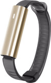 Misfit Ray Polished Gold/Bracelet Sportif Noir
