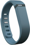 Fitbit Flex Slate
