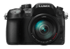 Panasonic Lumix DMC-GH4 + 14-140mm f/3.5-5.6