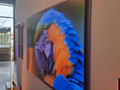 Samsung OLED 77" S99H (2026) (Image 2 sur 5)