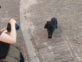 Canon EOS R6 V Value Up Kit (Afbeelding 6 van 6)