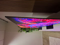 Samsung OLED 55" S95H (2026) (Image 4 sur 4)