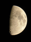 Panasonic Lumix DMC-FZ72 (Afbeelding 2 van 2)