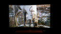 Samsung UE49KU6100 (Image 1 sur 2)