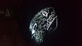 Trust GXT 105 Izza Illuminated Gaming Mouse (Image 3 of 4)