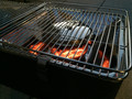 LotusGrill Charcoal 2,5 kg (Image 1 of 1)