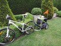 Doggyride Fietskar Mini Trailer Groen (Afbeelding 1 van 1)