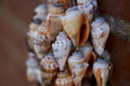 Sony SAL 35 mm f/1.8 DT SAM (Image 1 sur 3)
