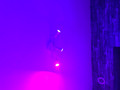 Philips HUE GU10 Starter Pack with Dimmer (Image 2 of 2)
