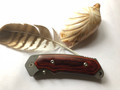 Buck Folding Alpha Hunter Rosewood (Image 1 sur 5)