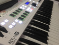 Arturia Keylab Essential 49 Wit (Afbeelding 1 van 1)
