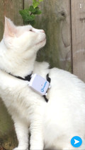 Tractive GPS Pet Locator (Image 1 sur 3)
