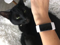Fitbit Charge 3 Special Edition Graphite/White (Image 4 sur 4)