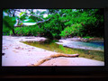 Samsung QE55Q9F (2018) - QLED (Image 1 sur 1)