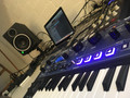 Novation Mininova (Image 1 sur 3)