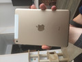 Apple iPad Mini 4 128 Go Wi-Fi + 4G Or (Image 1 sur 1)