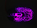 Trust GXT 105 Izza Illuminated Gaming Mouse (Image 1 of 6)