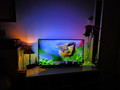 Philips 43PUS6704 - Ambilight (Afbeelding 3 van 3)