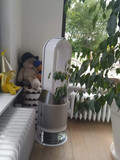 Dyson Pure Humidify + Cool - PH01 (Image 4 sur 5)