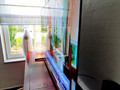 Sony OLED KD-55A8 (2020) (Image 3 sur 4)