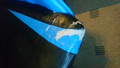 Qware Gaming Chair Taurus - Blue (Image 1 of 1)