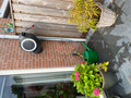 GARDENA Wall Hose Box 15 RollUp S + GARDENA Classic Multifunctional Spray Nozzle (Image 1 of 8)