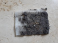 Veripart stofzuigerzakken voor Miele Complete (40 stuks) (Afbeelding 1 van 1)