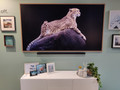 Samsung The Frame 75LS03B (2023) (Image 1 of 3)