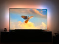 Philips The Xtra 55PML9008 - Ambilight (2023) (Image 5 of 5)