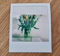 Polaroid Papier Photo Color Instant i-Type Film (40 Feuilles) (Image 3 sur 3)