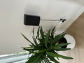 SoundXtra HW-Q930&#x2F;Q990 Wall Mount (per pair) (Image 2 of 3)