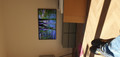 Samsung The Frame 65LS03D (2024) (Image 1 of 1)