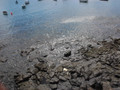 Hoya HRT polarizing filter and UV coating 52mm (Image 3 of 11)