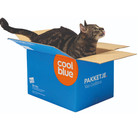 Recruiter Thomas Privot