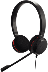 Jabra Evolve 20 - MS Stereo Office Headset