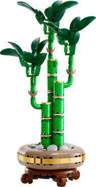 LEGO Botanicals - Le Bambou de la Chance 10344