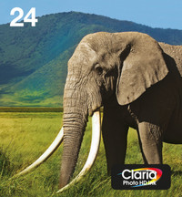 Epson 24 Cartouches Pack Combiné