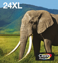 Epson 24XL Cartridges Combo Pack