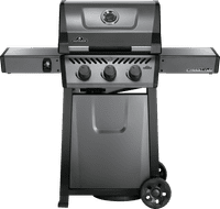 Napoleon Freestyle 365