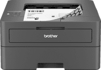 Brother HL-L2400DWE