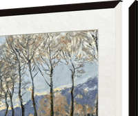 TCL Frame Black 75 inch