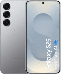 Samsung Galaxy S25 256 Go Argent 5G