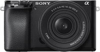 Sony Alpha A6100 + 16-50mm f/3.5-5.6 OSS II