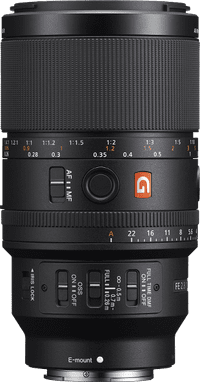 Sony FE 100mm f/2.8 Macro GM OSS