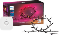 Philips Hue Festavia Guirlande Lumineuse - 20 Mètres + Détecteur de Mouvement