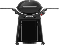 Weber Q 3200N+ avec Support
