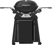 Weber Q2200N with Underframe