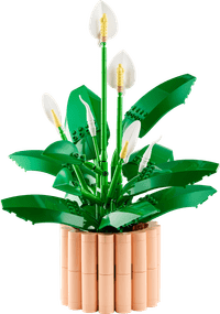 LEGO Botanicals - Les Fleurs de Lune 11504