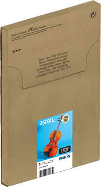 Epson Multipack 6-colours 250XL Inkt Easymail