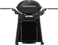 Weber Q 3200N met Onderstel